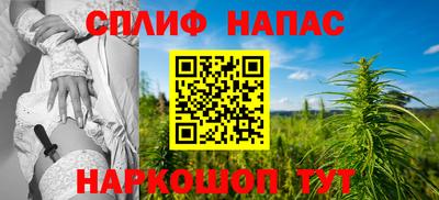 сатива Камышлов